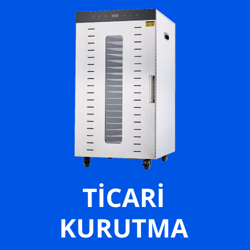 Tekne Motorları